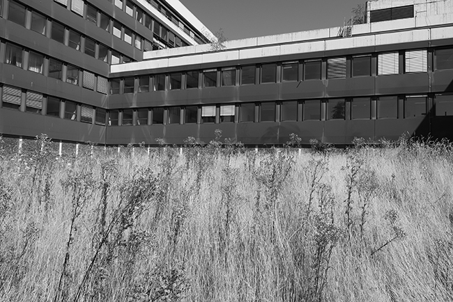 Altes Poluzeipräsidium Heburt-Wienen-Straße